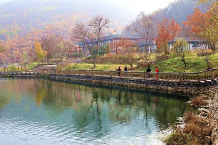 林升源農莊活動