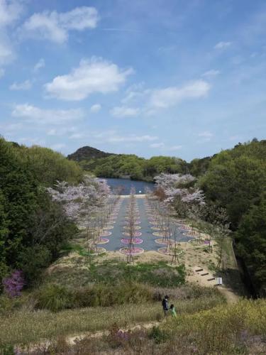 安藤忠雄博物館