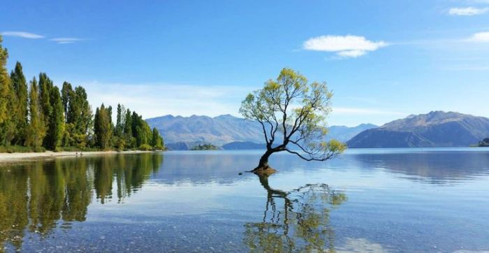 探索紐西蘭最美自駕路線：南島經典行程推薦